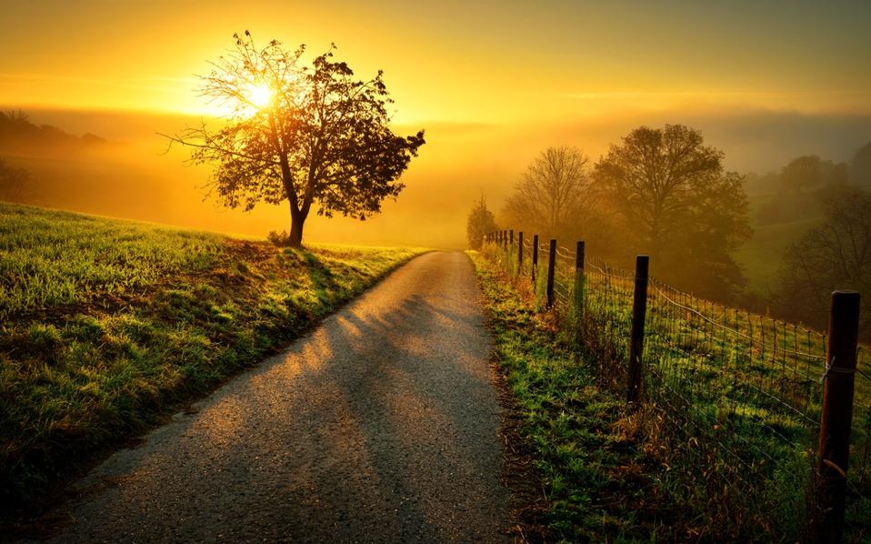 Idyllic rural landscape in golden light