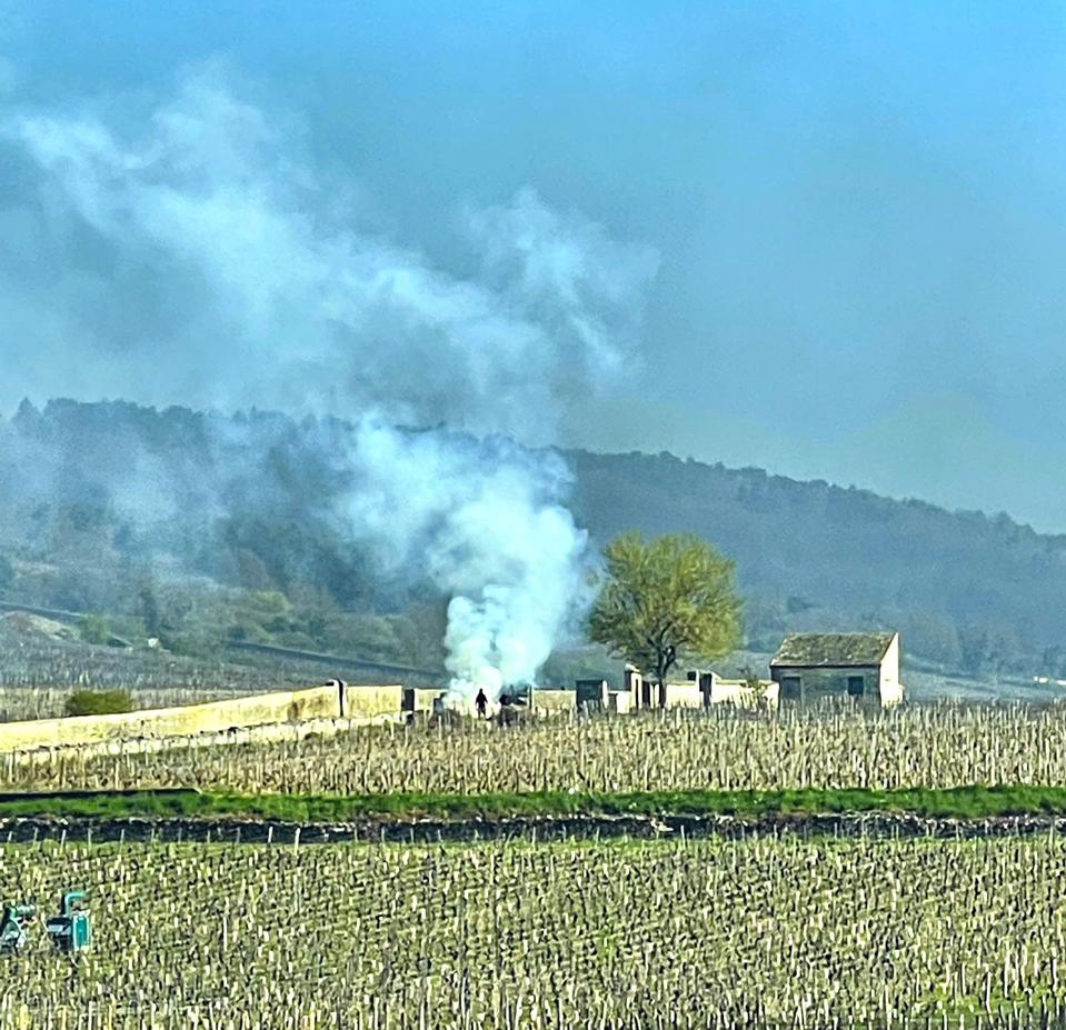 Bourgogne clippings burned as a means of frost protetction 