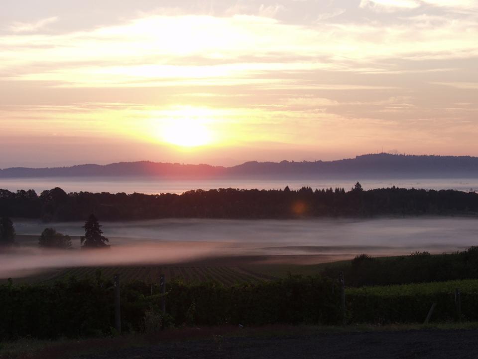 May is Oregon Wine Month
