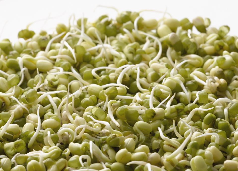 Mung bean.