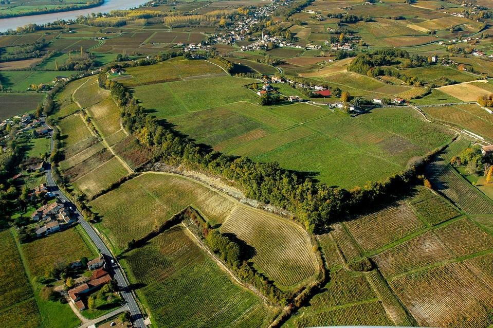 Aerial view Fronsac Vineyard landscape, Bordeaux, France
