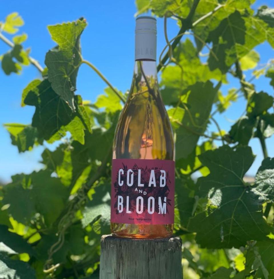 colab + bloom rose