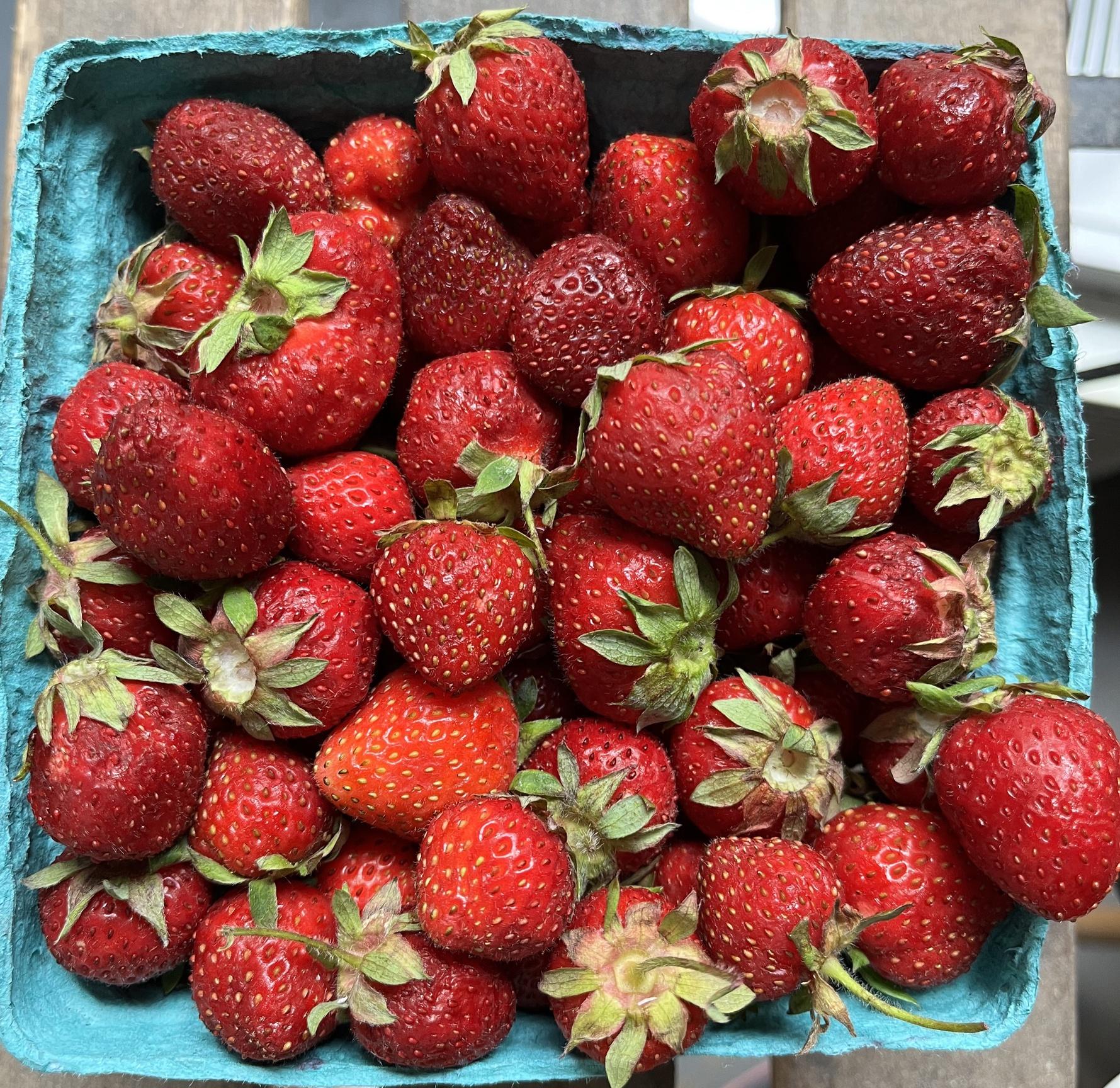 Strawberries from upstate New York.