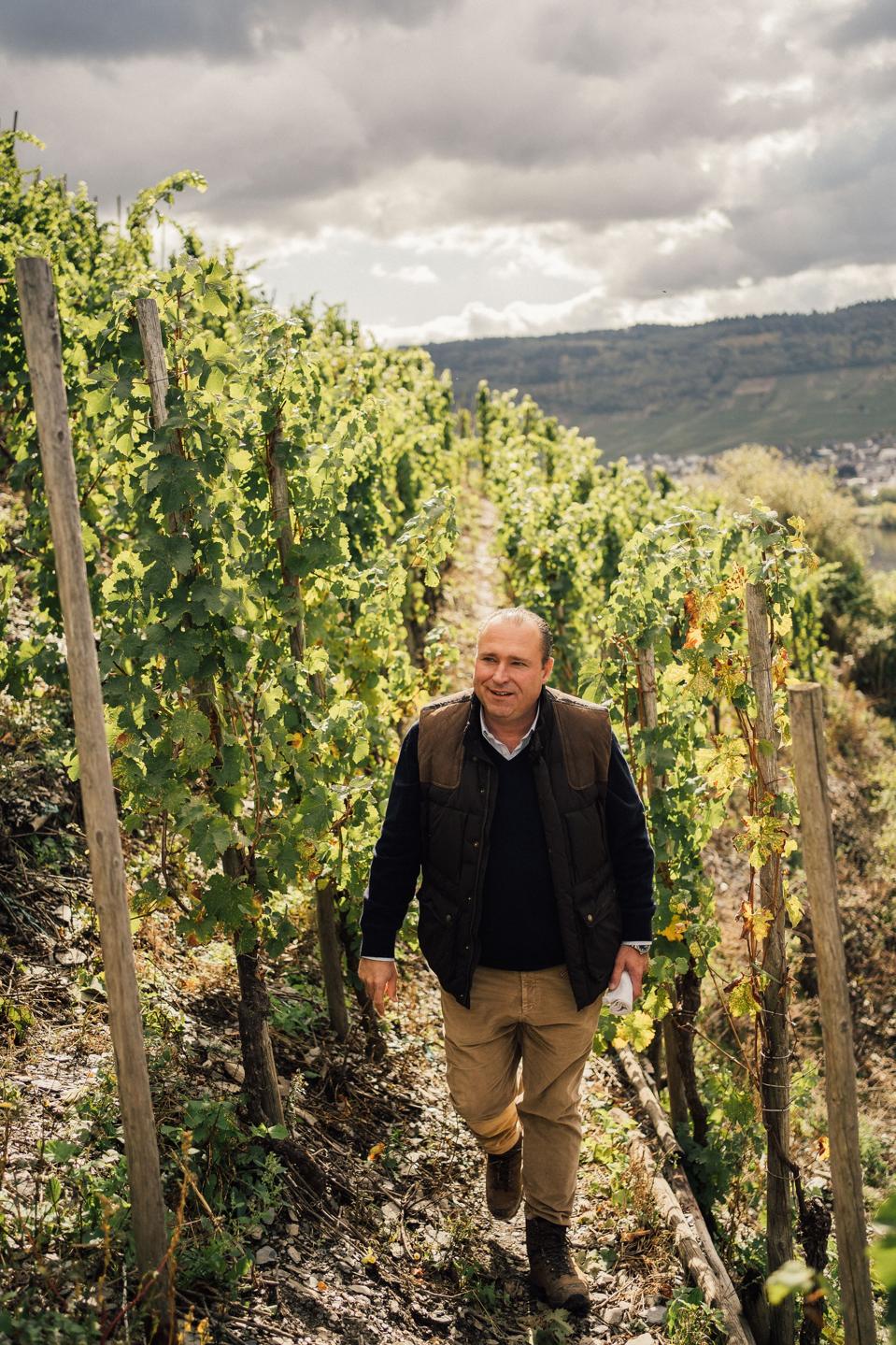 Nik Weis in the vineyard