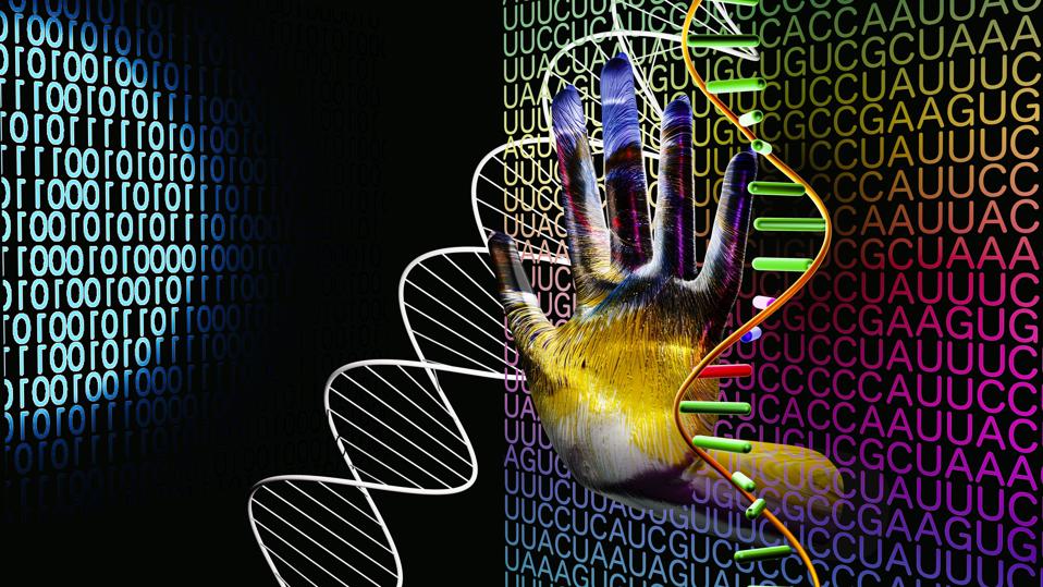 AI Quantum