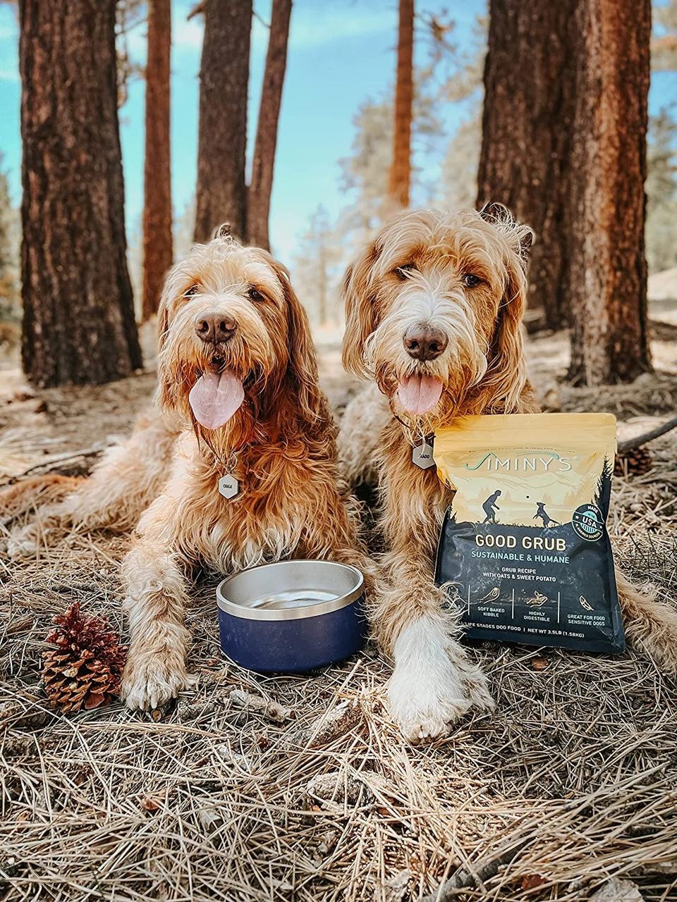 Whats The Best Dog Food For Goldendoodle