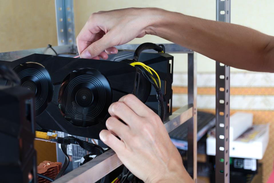 The hands install a graphics card into computer for Bitcoin mining, ethereum and other altcoins.