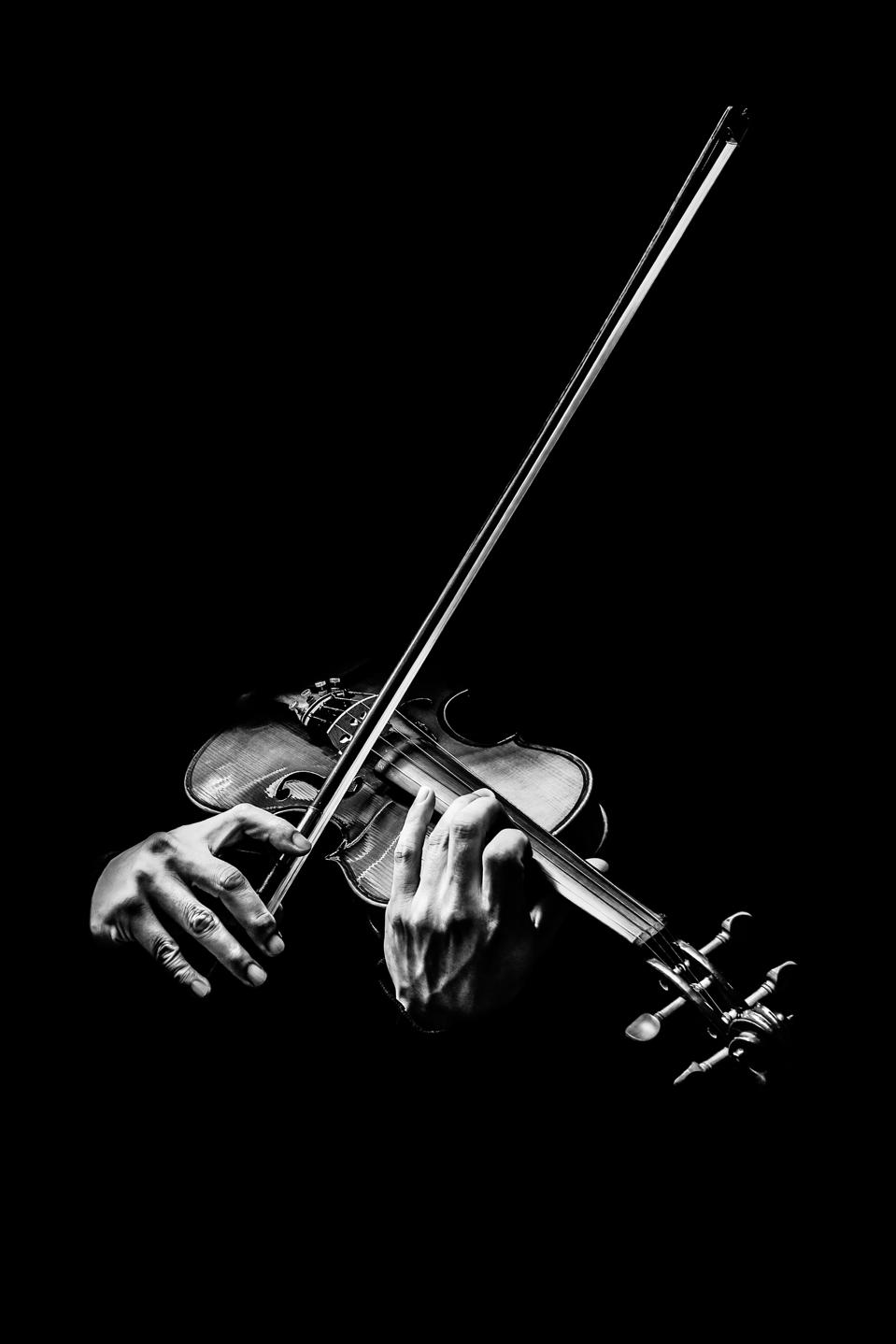 black and white male violinist hands playing violin, music background