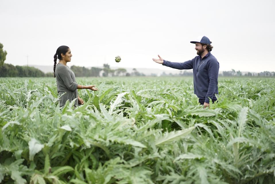 SIMPLi_Matt and Sarela_Artichoke Throwing