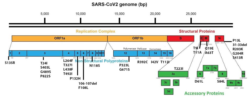 FIGURE 3