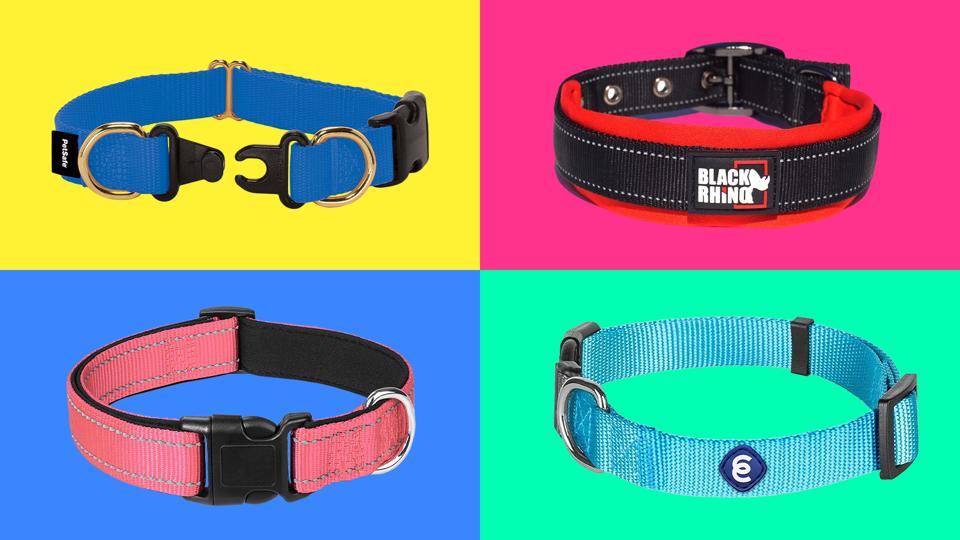 Dog Collar dog-collar