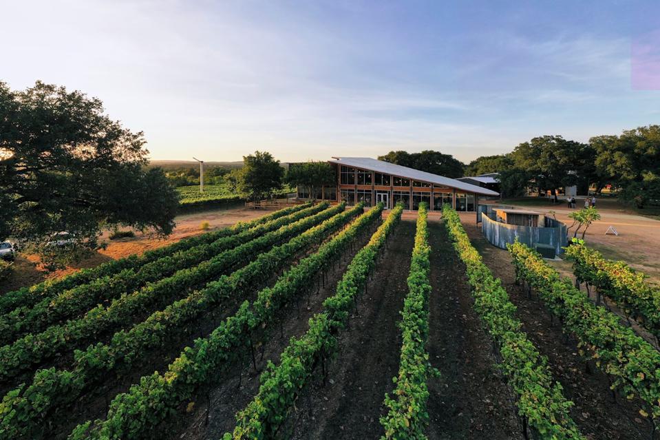William Chris Vineyards tasting room next to expansive veneyards