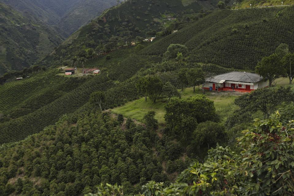 COLOMBIA-COFFEE-ECONOMY
