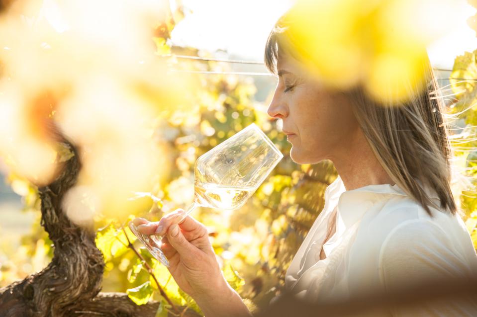 Female Wine Connoisseur with Glass of White Wine in Vineyard