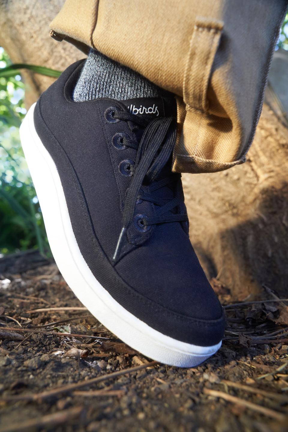 Allbirds Pacers: The Secret Of The Super-Comfortable New Shoes Is Citrus  Peels