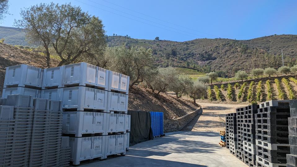 Harvest boxes waiting outside of Quinta de Roriz Photo Credit Prats & Symington
