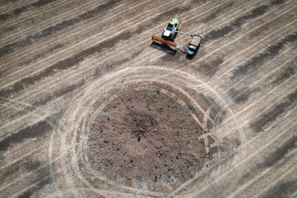 Ukrainian farmers harvest wheat working around an artillery shell crater in a field.