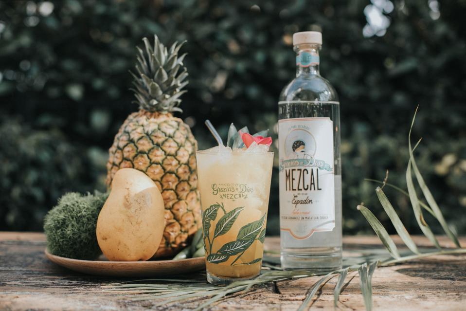 Gracias a Dios mezcal with cocktail, fresh mango and pineapple with a garden background.