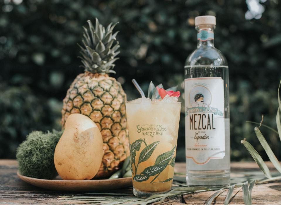 Gracias a Dios mezcal with cocktail, fresh mango and pineapple with a garden background.