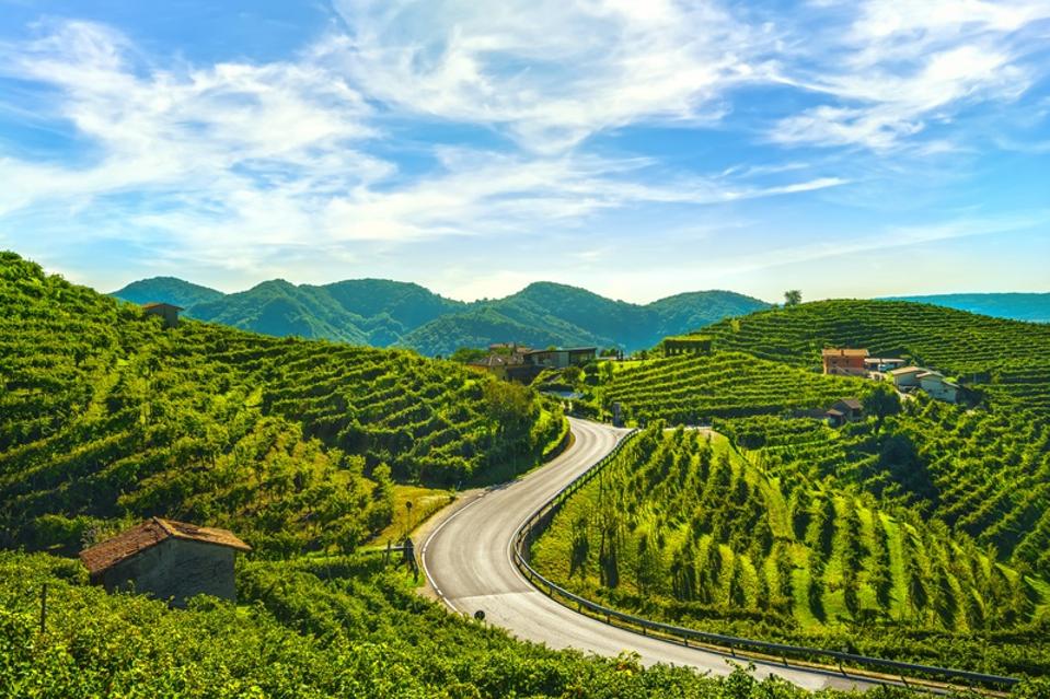 Vineyards and road. Prosecco Hills, Unesco Site. Valdobbiadene, Veneto, Italy