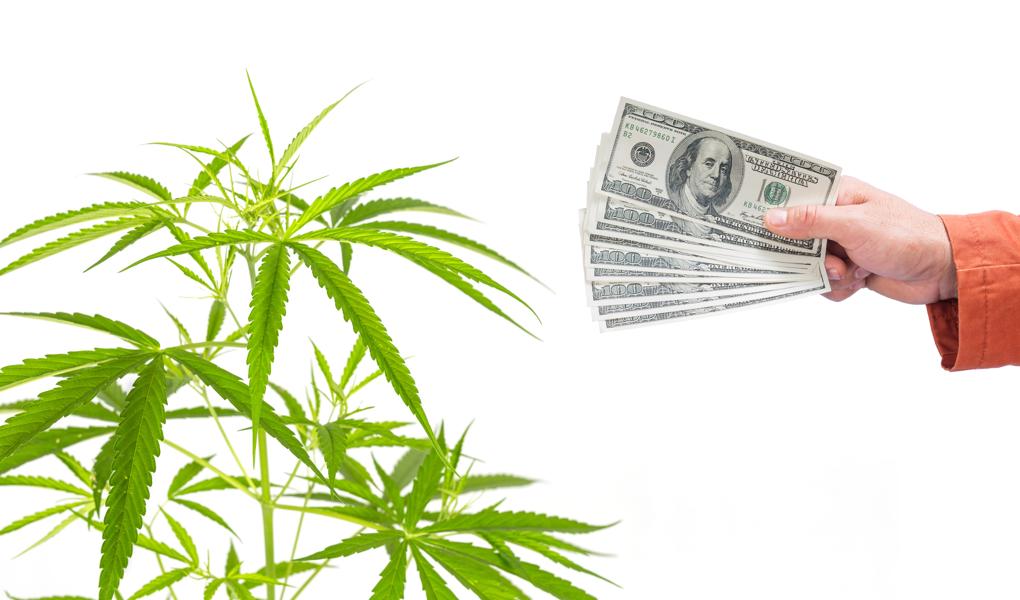 Billion Dollar Fund Manager Targets Cannabis
