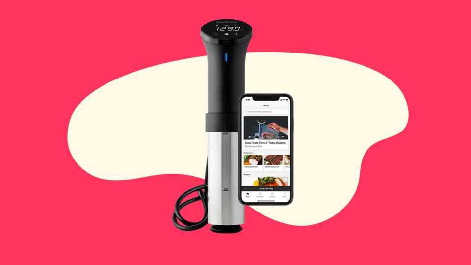 Best Sous Vide 2022