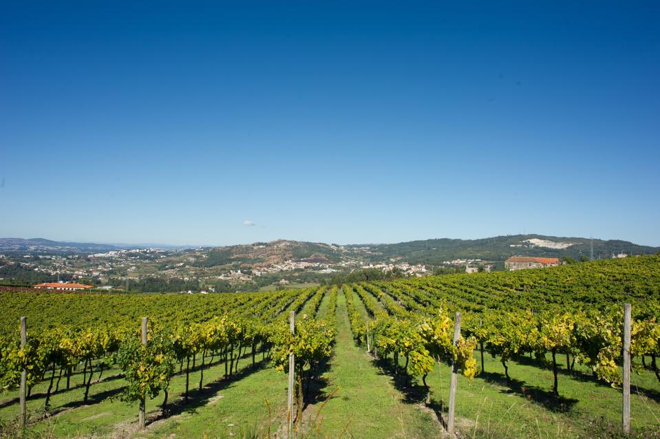 Portugal's Next Great Wine Tourism Region: Vinho Verde