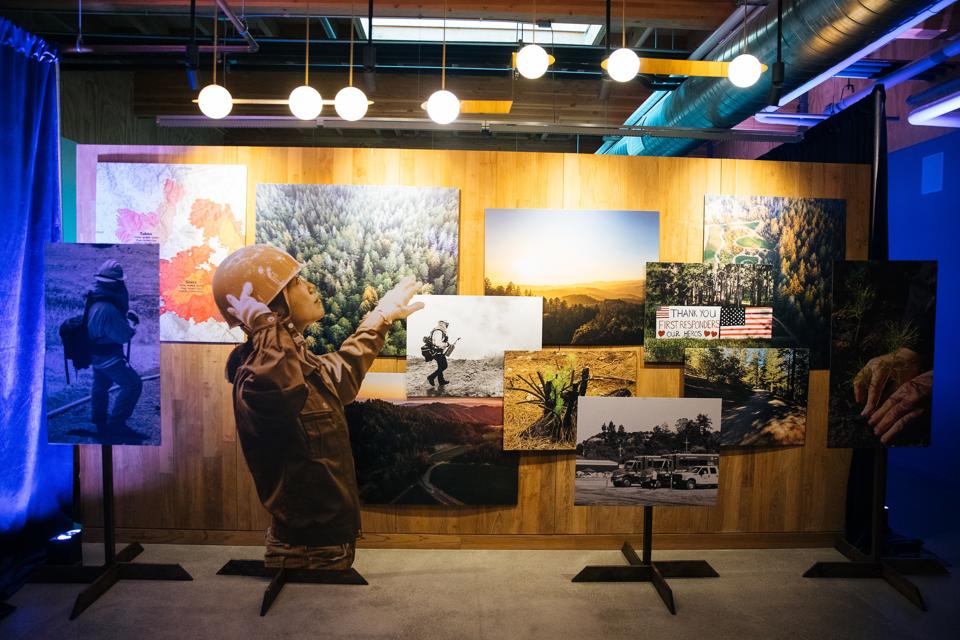 Display of Wildfire Impact and Mitigation Work at Collective Napa Valley 2022 November Event