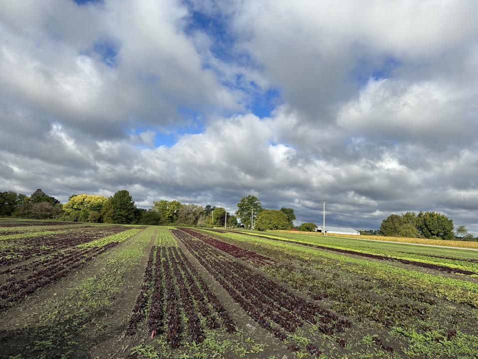 447DC3DB-C0B3-4A0A-9D0C-B0C3FD9F7294