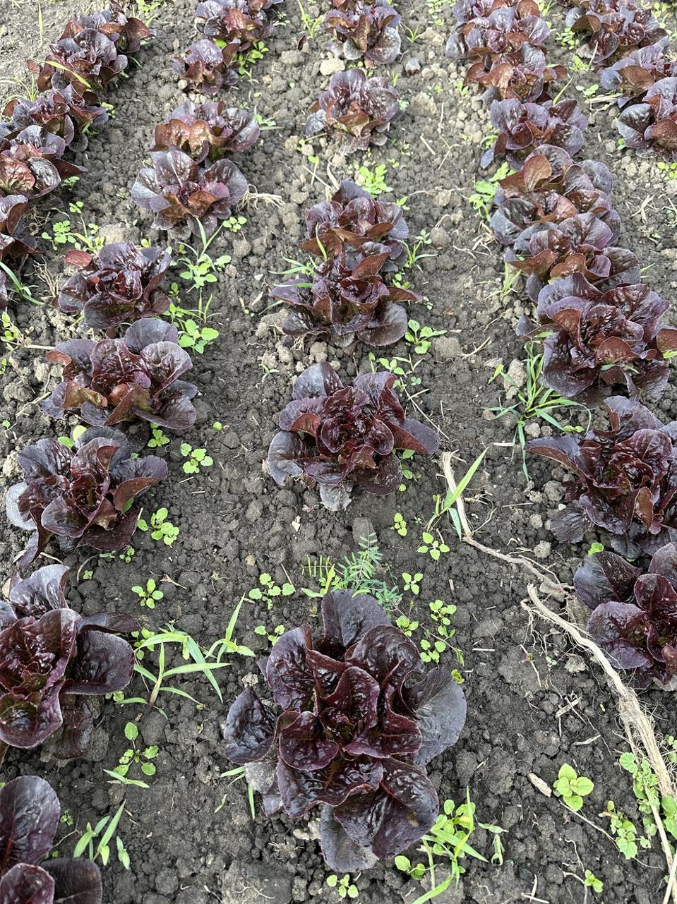 620103A7-A76F-4124-8326-7A6CF51EA6A0