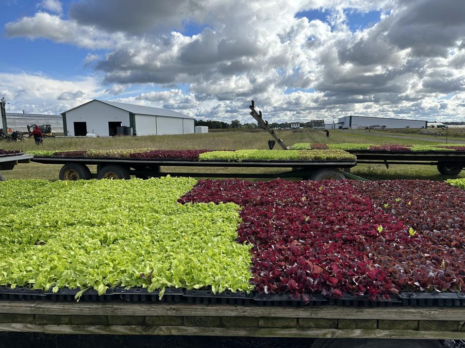 ADAB5D89-54FC-4ED6-A2A2-0992B7457719