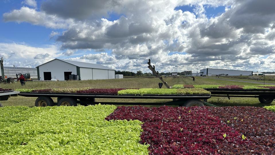 ADAB5D89-54FC-4ED6-A2A2-0992B7457719