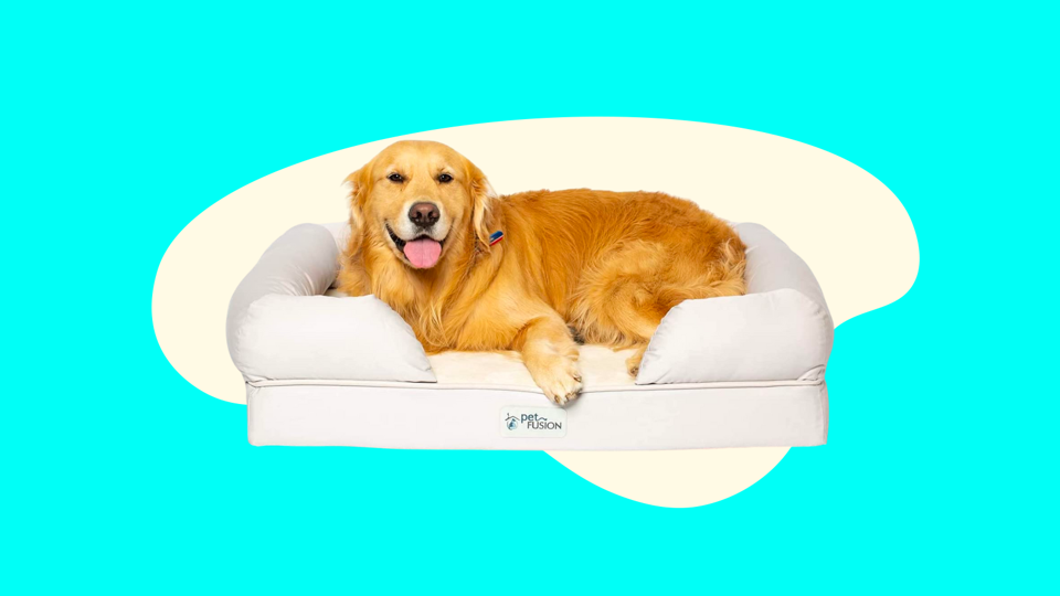 Best Dog Bed For Large Dogs 2023 The PetFusion Ultimate Dog Bed
