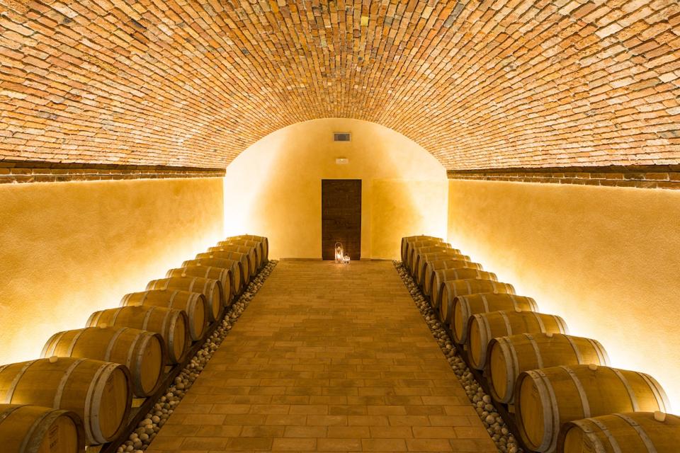 The Benazzoli cantina