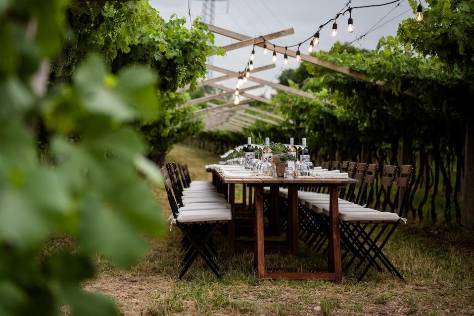 The setting for Cene in Vigna (dinners in the vineyard)