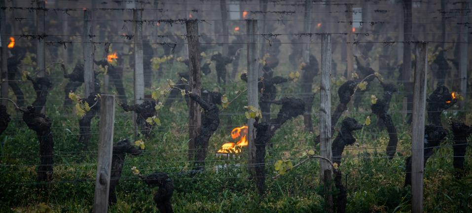 GIRONDE, POMEROL, OIL BURNING SMUDGE POTS IN VINEYARD DURING SUB-ZERO TEMPERATURES OF 7 MARS 2021, BORDEAUX VINEYARD