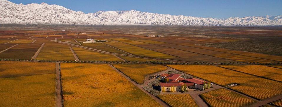 Clos de los Siete vineyards Photo Credit Clos de los Siete