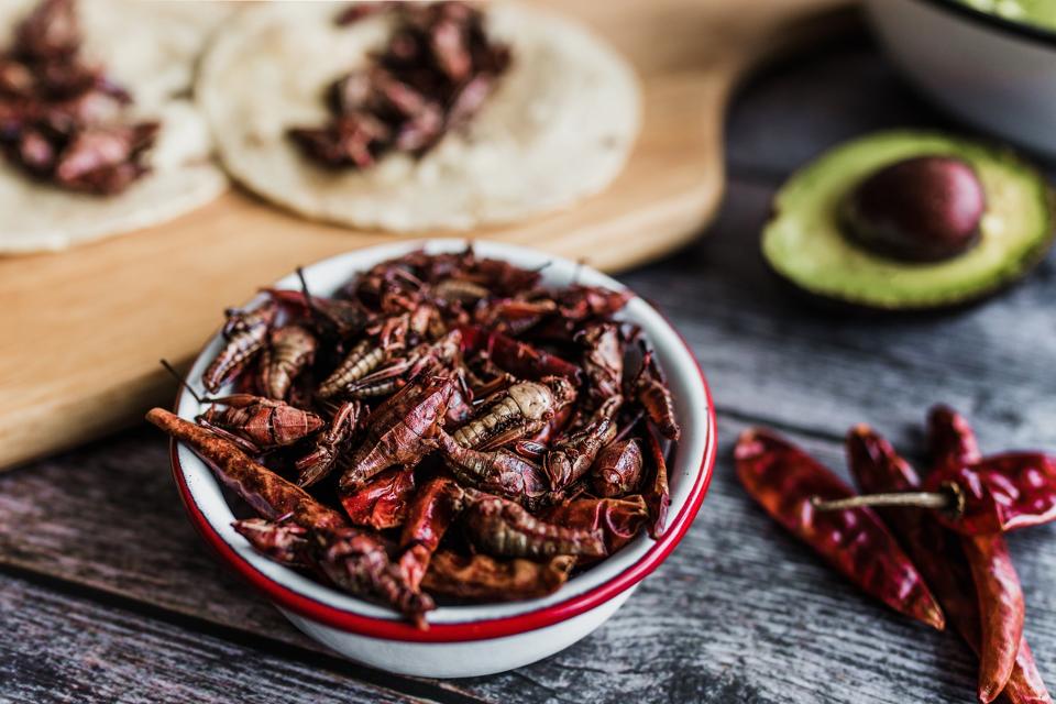 Traditional Mexican food from Oaxaca, Mexico - Baked Crickets