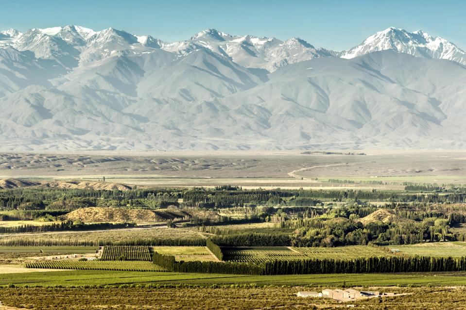 Vineyards in the Uco Valley, Tupungato, Mendoza, Argentina.