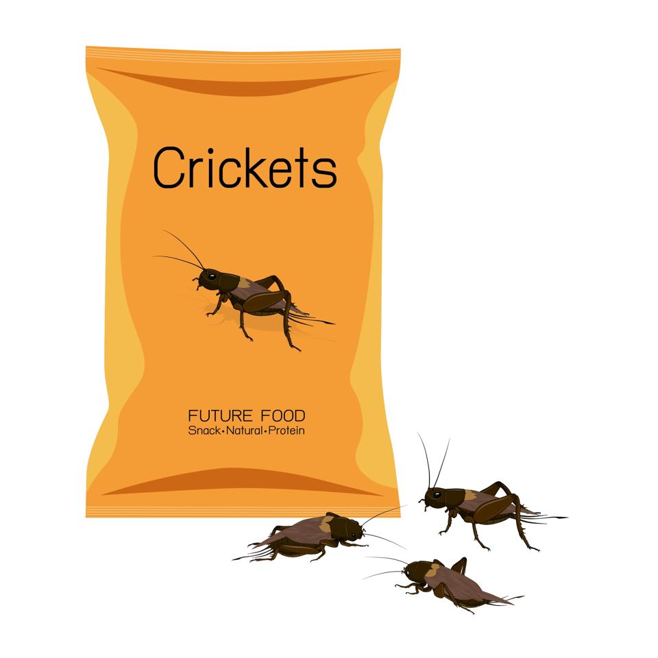 Baked Crickets Are Full of Protein.