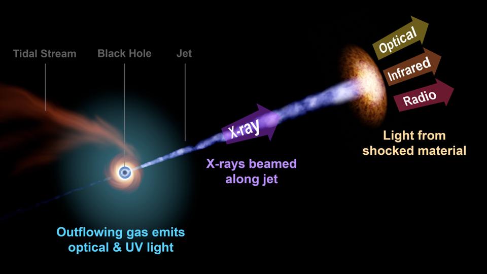 Black Hole Destroys Star In A Tidal Disruption Event Star Ripped Apart