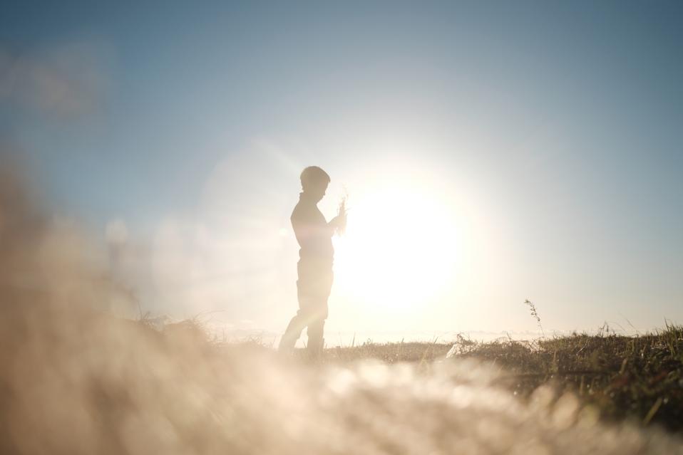 Silhouette of boy standing in the field full of sunlight, holding grasses