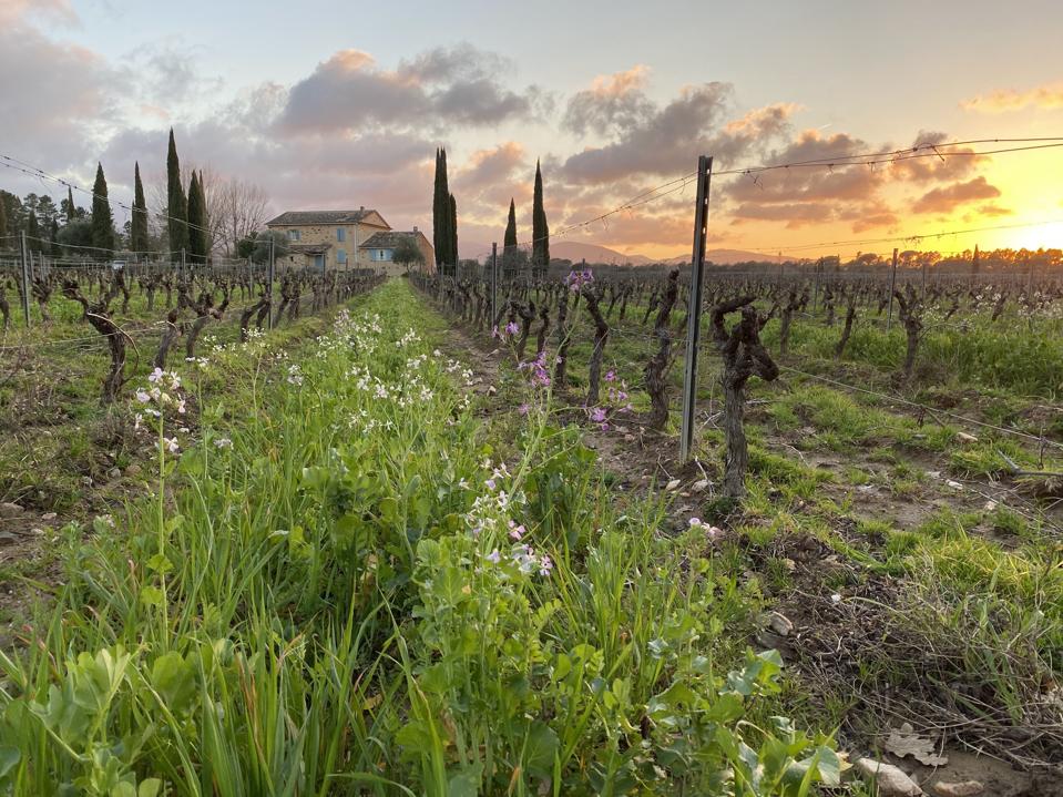 9BCB1700-ED4E-47DF-AF86-5C634C18F276