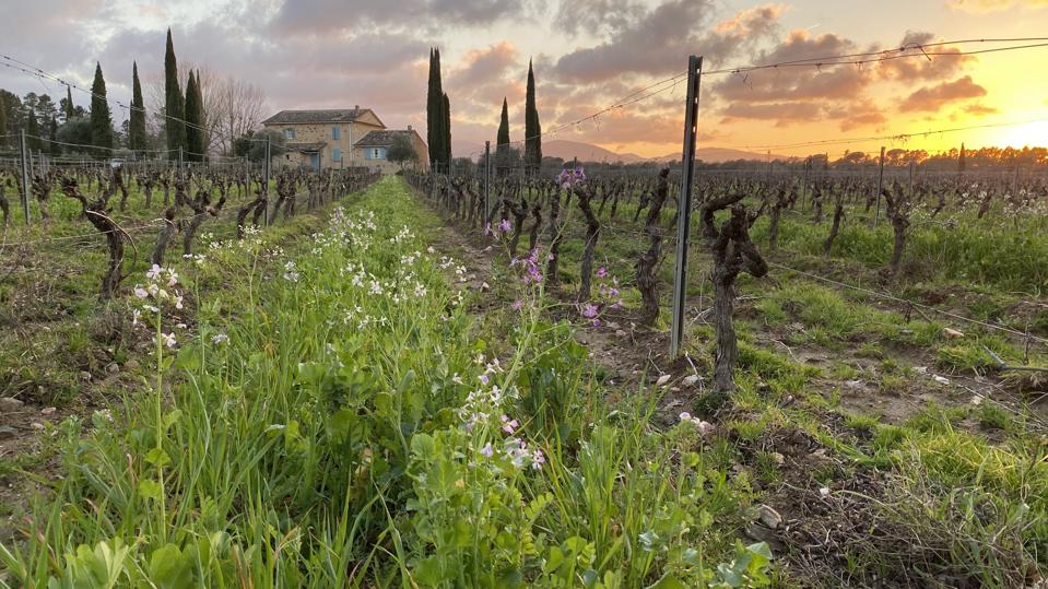 9BCB1700-ED4E-47DF-AF86-5C634C18F276