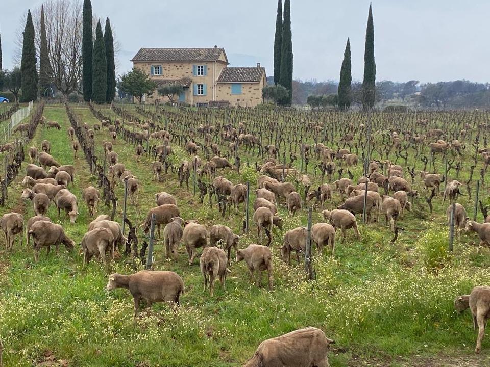 3381111B-D261-4D4E-9AD2-DBA0547392FE