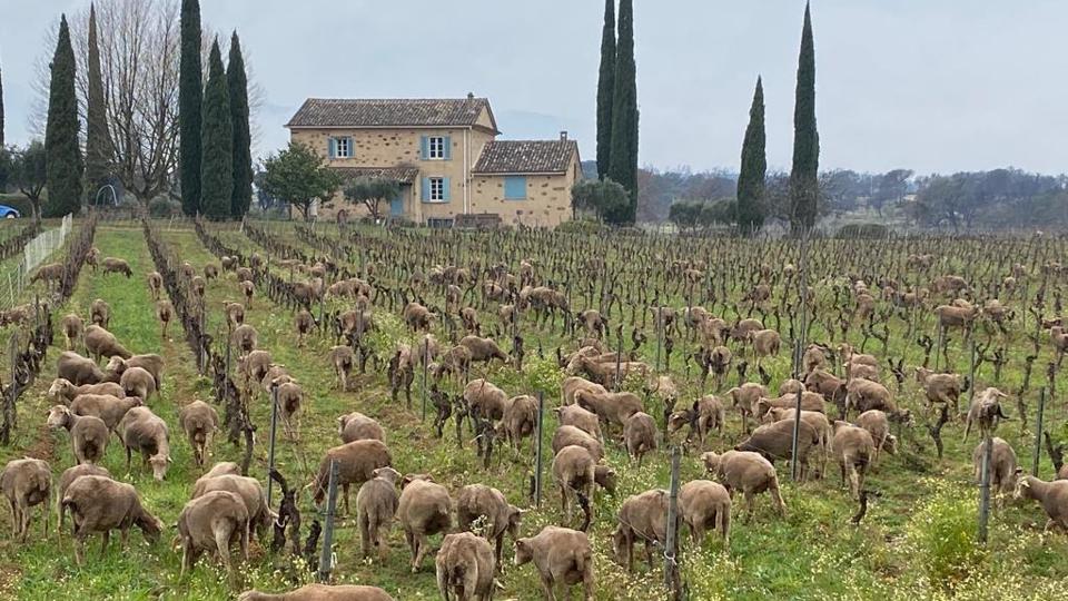 3381111B-D261-4D4E-9AD2-DBA0547392FE