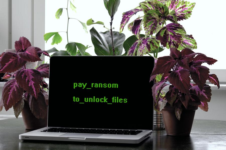 If You Pay Cyberattack Ransom, Deduct It On Your Taxes