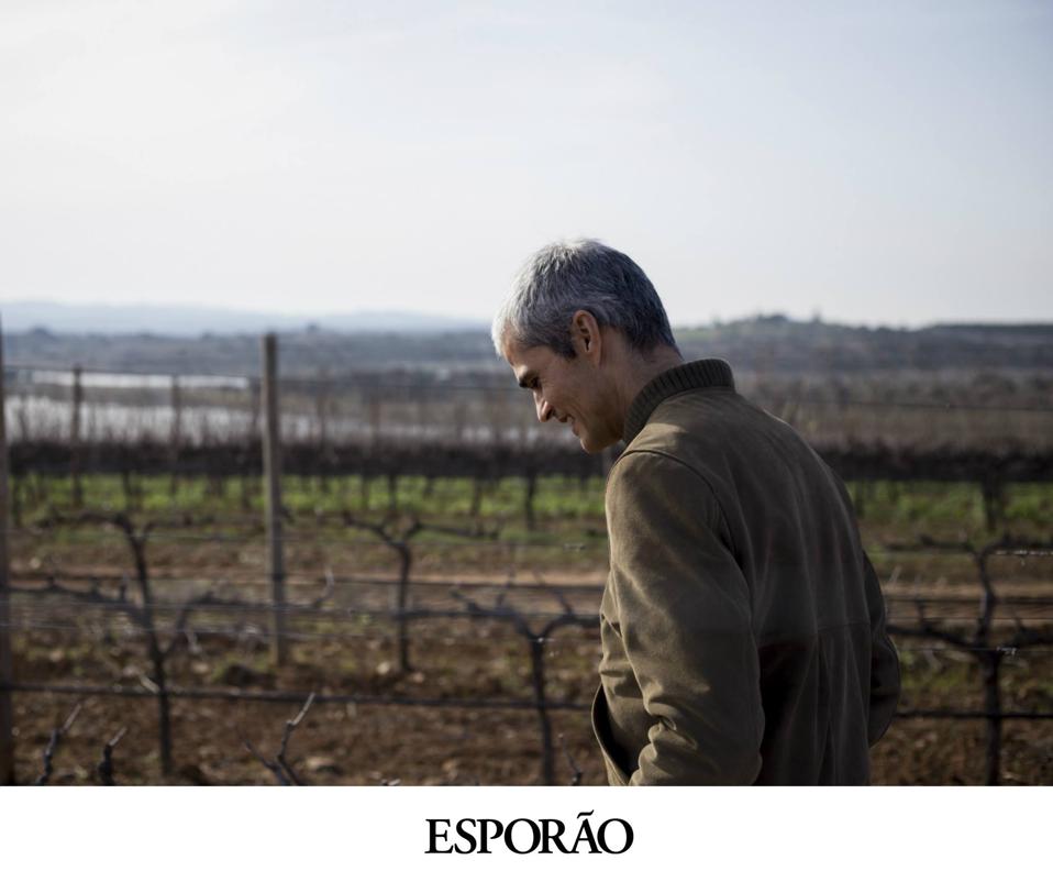 João Roquette on the Esporão estate  Photo Credit Esporão