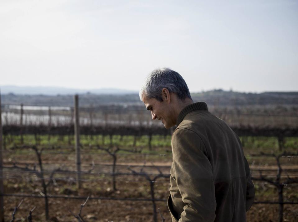 João Roquette on the Esporão estate Photo Credit Esporão