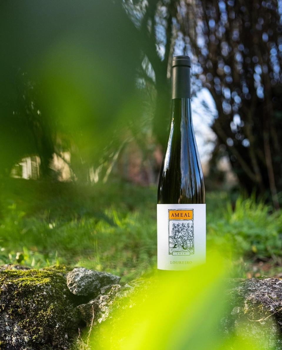 2021 Ameal Loureiro Photo Credit Esporão